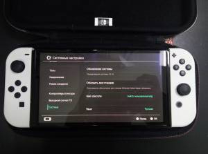 01-200210513: Nintendo switch oled