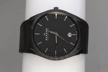 01-200256904: Skagen skw6009