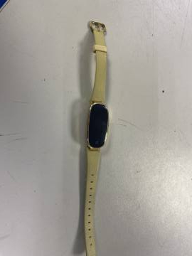 01-200060621: - smart wristband