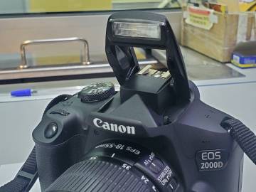 01-200244257: Canon eos 2000d body