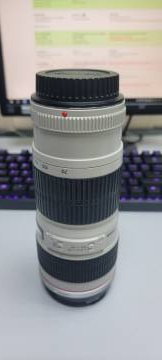 01-200269937: Canon ef 70-200mm f/4l usm