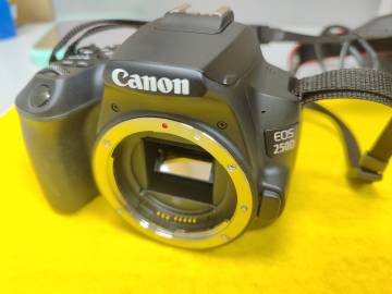 01-200128163: Canon eos 250d body