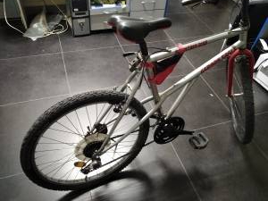 01-200201675: Mountain Bike german eagle