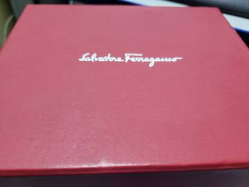 01-200256443: Salvatore Ferragamo f75sbq9901