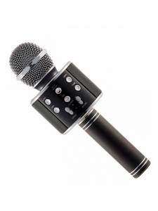 Микрофон для караоке - інше