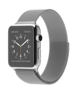 Apple watch (42mm steel case)
