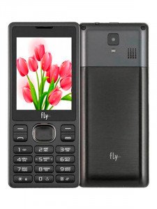 Мобільний телефон Fly ff282