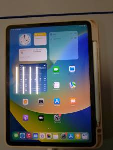 01-200146658: Apple ipad pro 11 2022 wi-fi 128gb