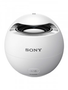 Sony srs-x1