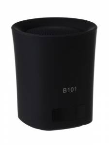 Bluetooth b101