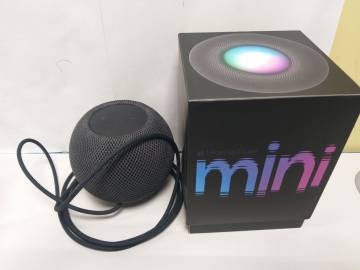 01-200243317: Apple homepod mini