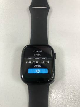 01-200165996: Smart Watch hiwatch pro 8