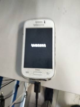 01-200029194: Samsung s6312 galaxy young duos
