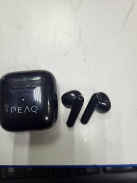 01-200218290: Peaq ptw 3000-bk